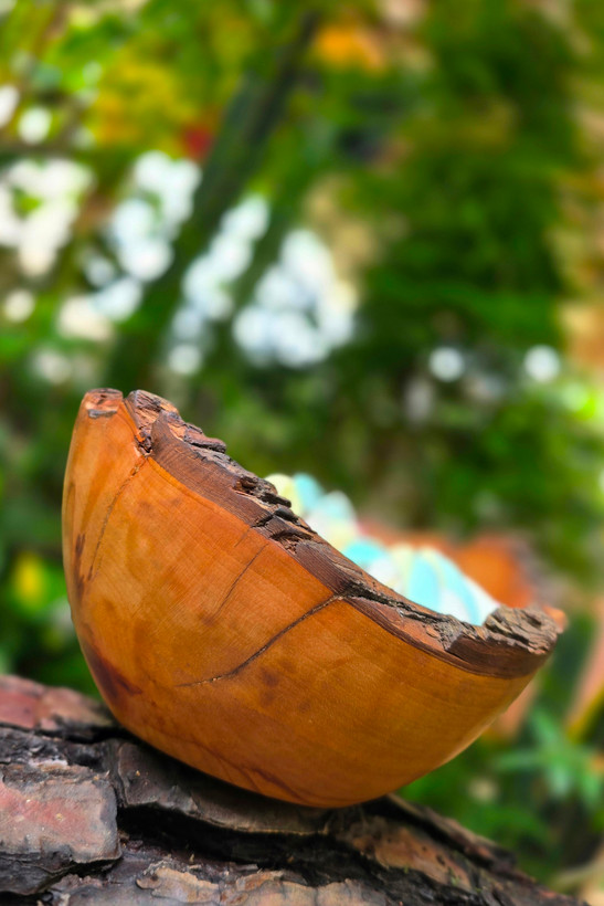 کاسه چوبی لبه پوستی و تک نسخه