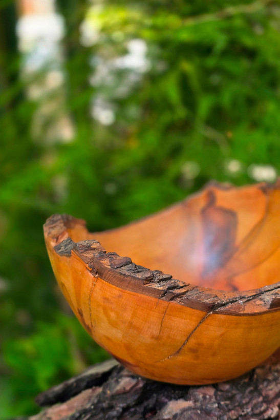 کاسه چوبی لبه پوستی و تک نسخه