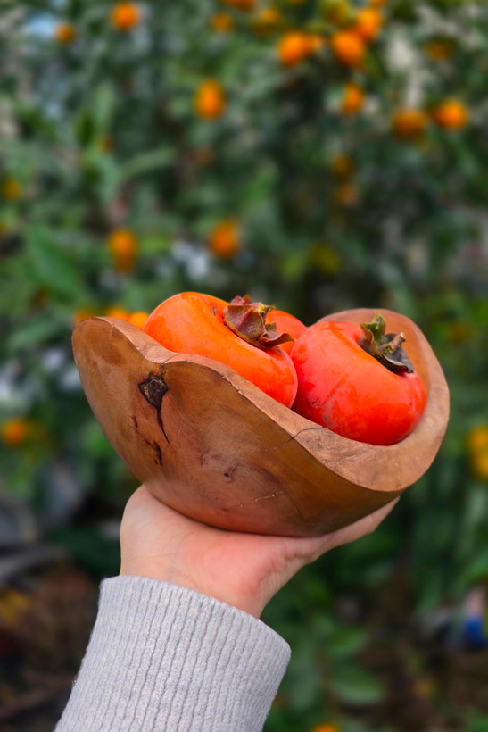کاسه چوبی دفرمه